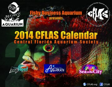 We Would Like to Thank Our Presenting Sponsor fishy Business Aquarium, and Our Supporting Sponsors Living Reef Orlando, top Shelf Aquatics, And sea in the City. with Your Help, We Created Something Amazing! This…