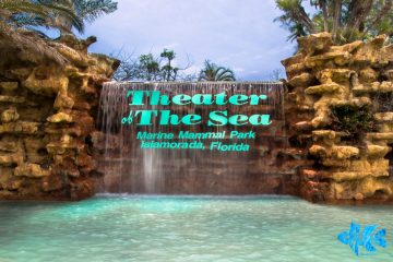 On April 14, 2014, Our Reef Project Team Visited One of Florida's Oldest Marine Mammal Parks, Theater of the Sea. Upon Our Arrival, We Took Some Time Just to Take…