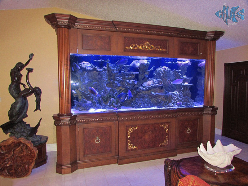 Expensive store fish tanks