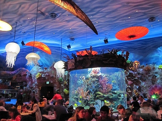 Aquarium at T-Rex Restaurant in Downtown Disney Breaks